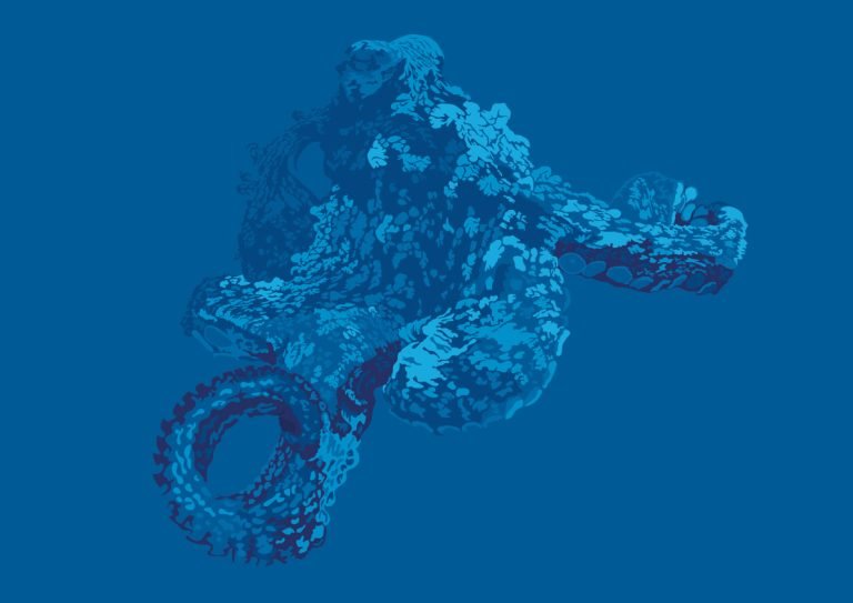 octopus illustration for DAN