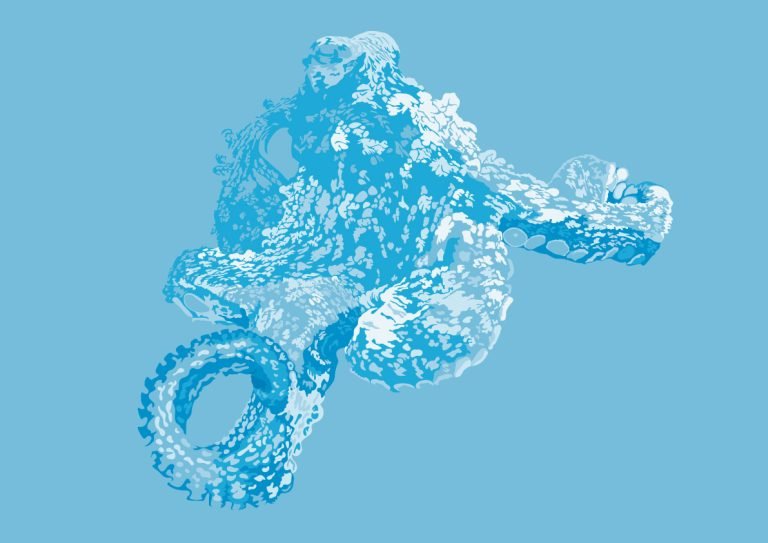 octopus illustration for DAN