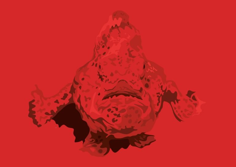 frogfish illustration for DAN