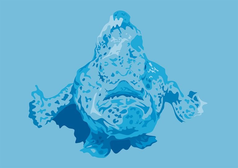 frogfish illustration for DAN