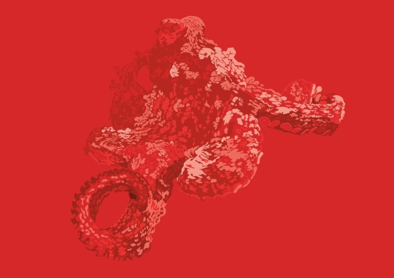 Octopus illustration for DAN