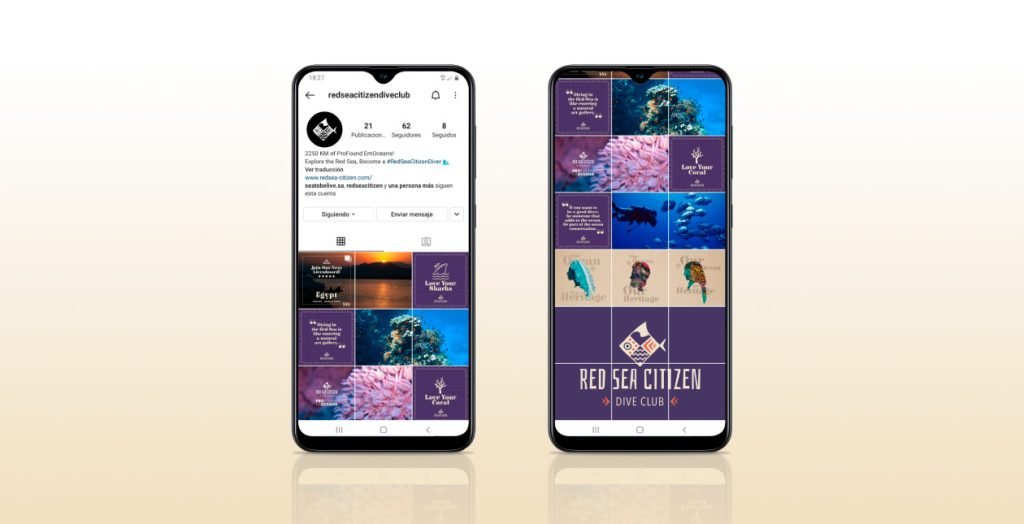 Professional branding for dive centers makes social media profiles & content creation simpler