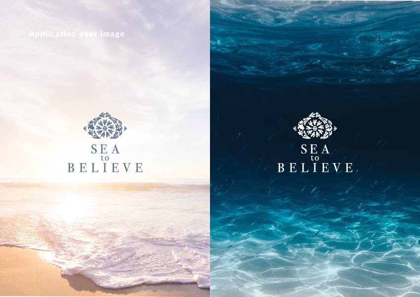 sea-to-believe-logo-on-photo