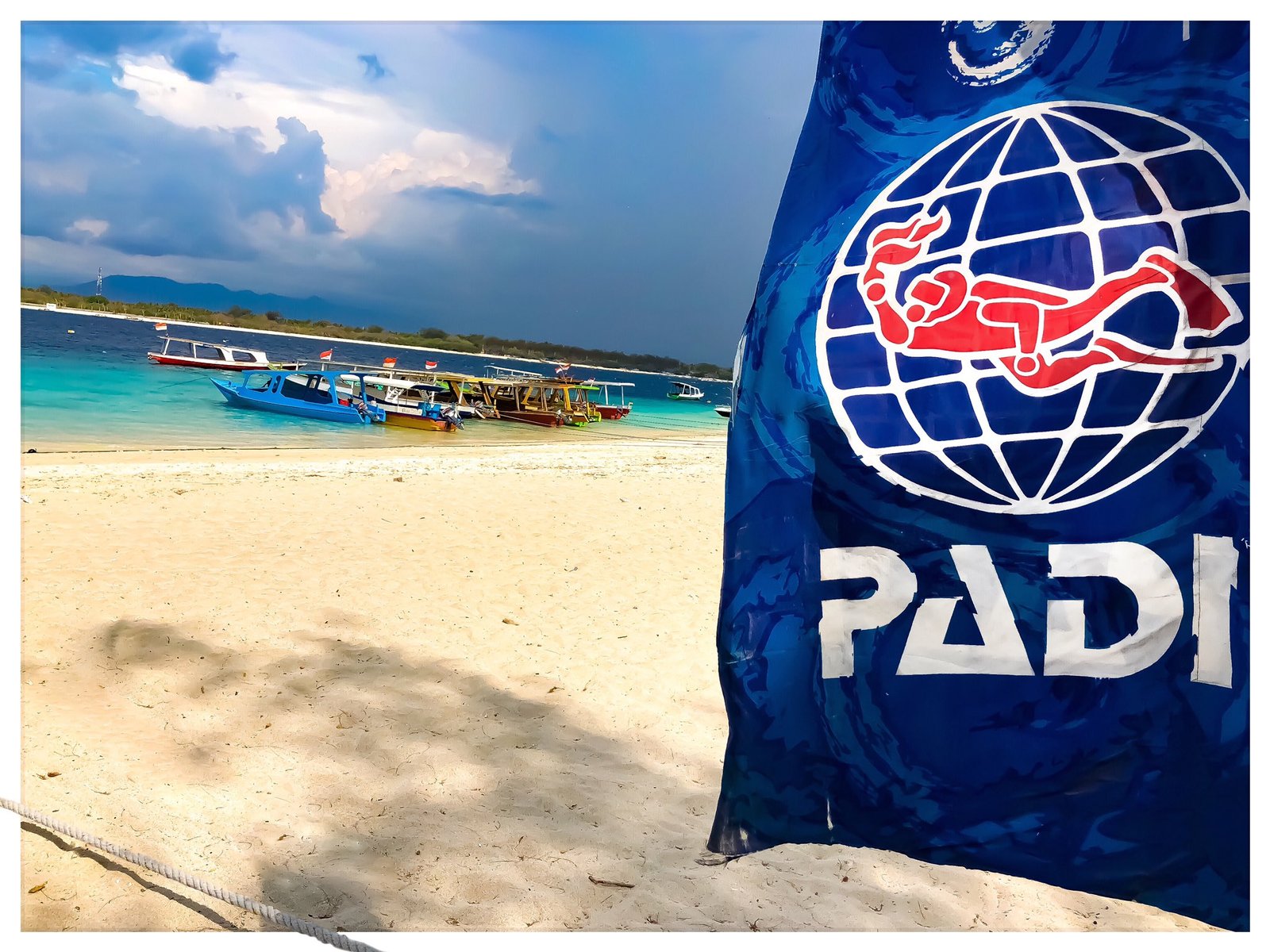 Padi Logo design on a flag